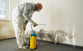 Asbestos and Lead Testing During Mold Inspection